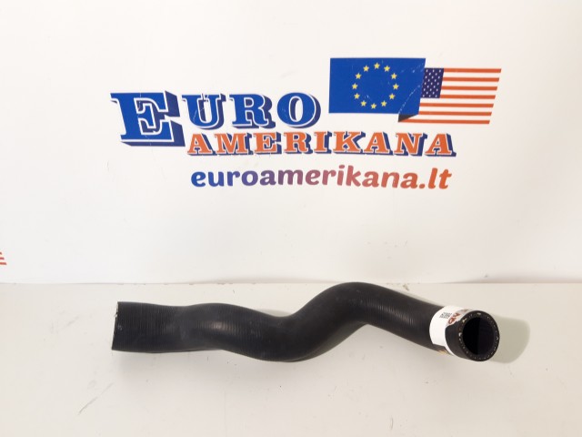 Lower Hose
